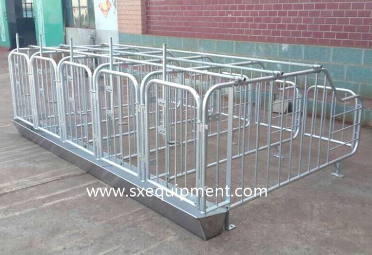 Pig Gestation Stall